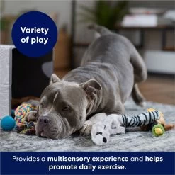 Frisco Forest Friends Plush, Rope & TPR Variety Pack Dog Toy 8 Frisco Forest Friends Plush, Rope & TPR Variety Pack Dog Toy -Frisco 843534 PT3. AC SS1800 V1693411070