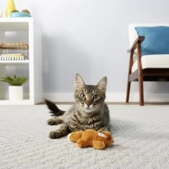 Frisco Squirrel Plush Cat Toy With Refillable Catnip & Frisco Bird With Feathers Teaser Wand Cat Toy With Catnip -Frisco 962030 PT4. AC SS1800 V1694783955