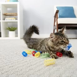 Frisco Colorful Springs Cat Toy & Frisco Bird With Feathers Teaser Wand Cat Toy With Catnip -Frisco 962126 PT4. AC SS1800 V1694782923