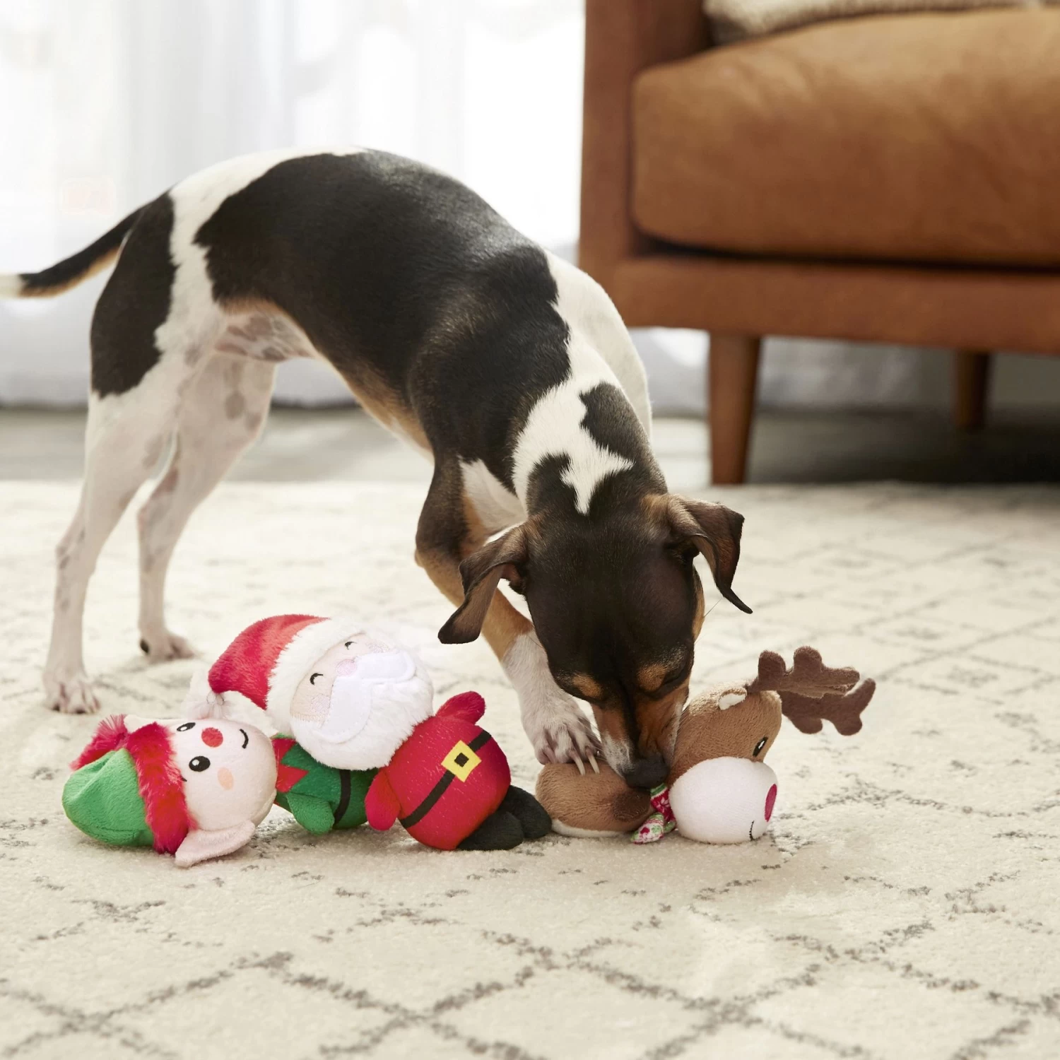 Frisco Holiday Santa's Helpers Plush Squeaky Dog Toy, 3 Count & Frisco Holiday Lights Plush With Rope Squeaky Dog Toy 4 Frisco Holiday Santa's Helpers Plush Squeaky Dog Toy, 3 Count & Frisco Holiday Lights Plush With Rope Squeaky Dog Toy - Image 4