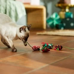 Frisco Holiday Santa Hat & Mistletoe Cat Tracks Cat Toy & Frisco Holiday Mice Cat Toy With Catnip, 5 Count -Frisco 986278 PT7. AC SS1800 V1698257787